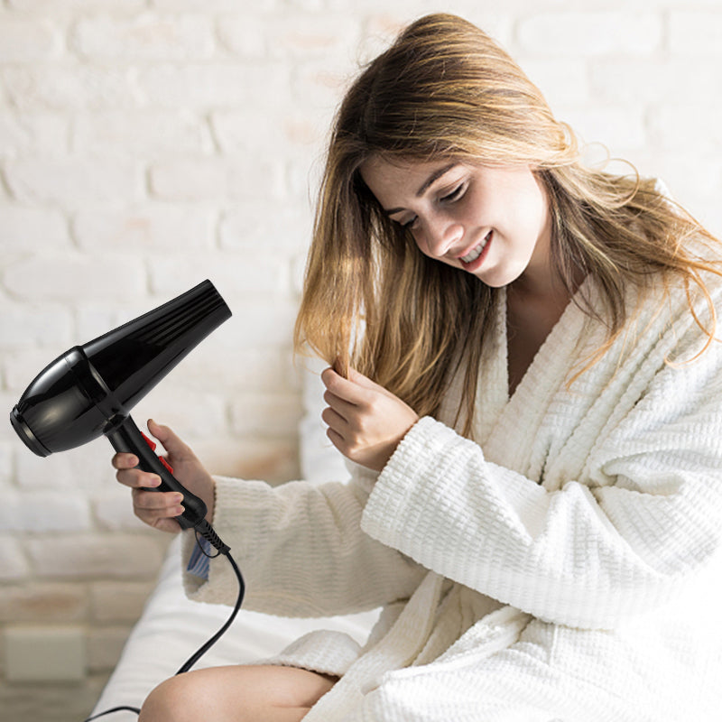 Professional Hair Dryer Hairdryer LR-1237