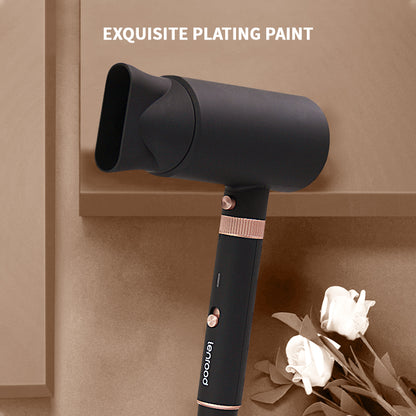 Hair Dryer Professional Hairdryer LR-8211